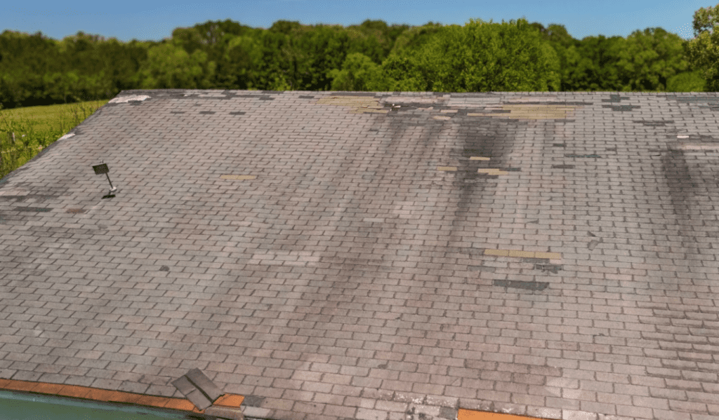 signs of a worn roof in Florida